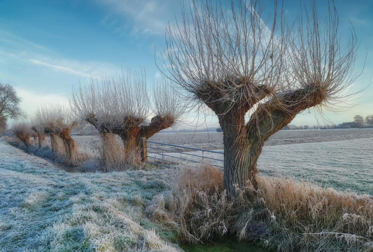 Van Abelshoeve Gieterveen Esterno foto