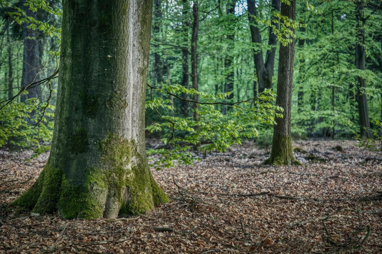 Van Abelshoeve Gieterveen Esterno foto